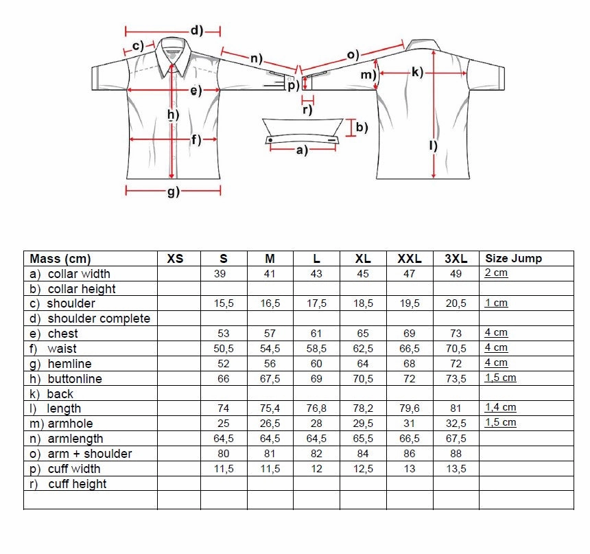 Brody Men's Western Shirt