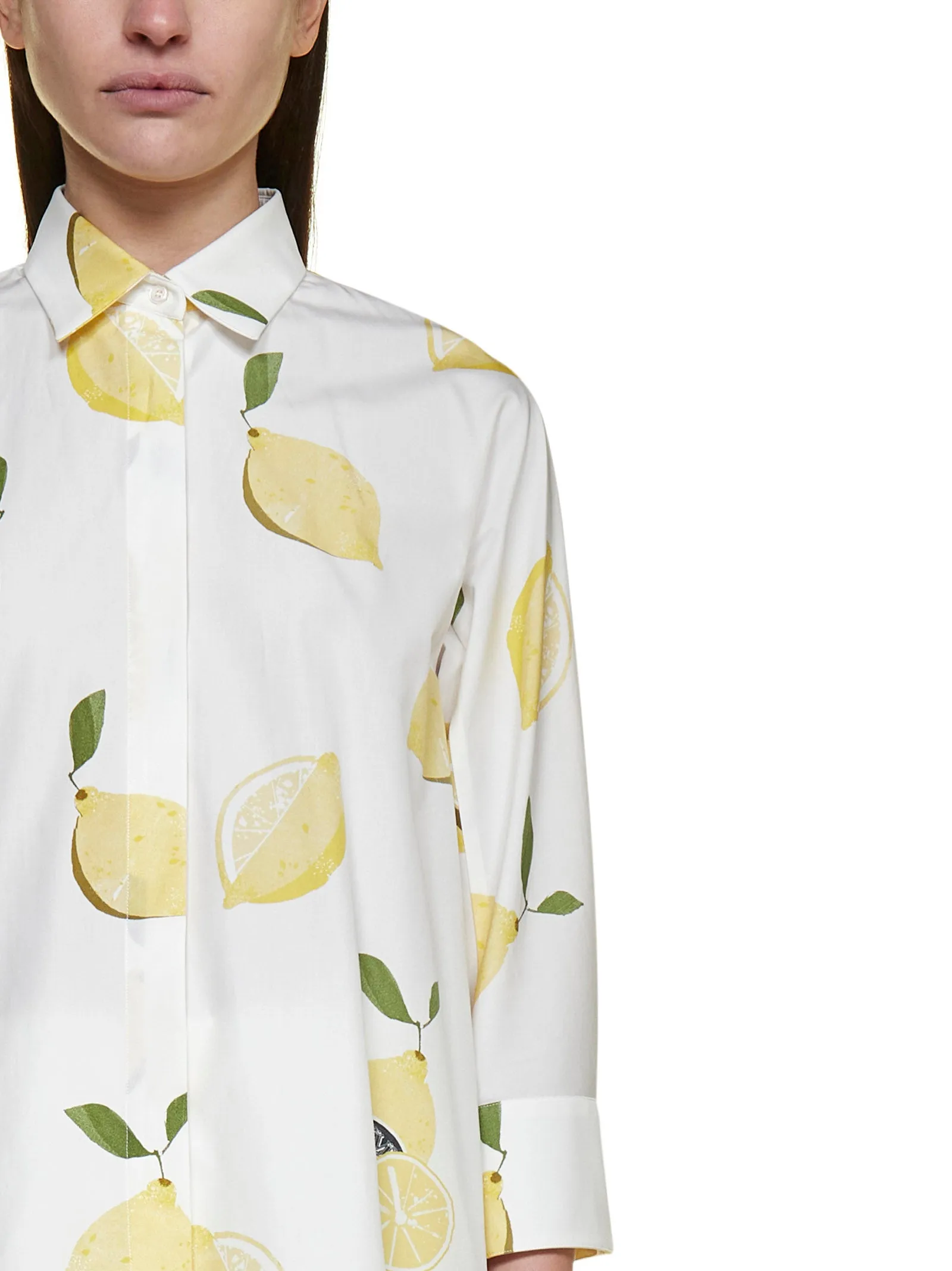 Max Mara Calamo Printed Shirt