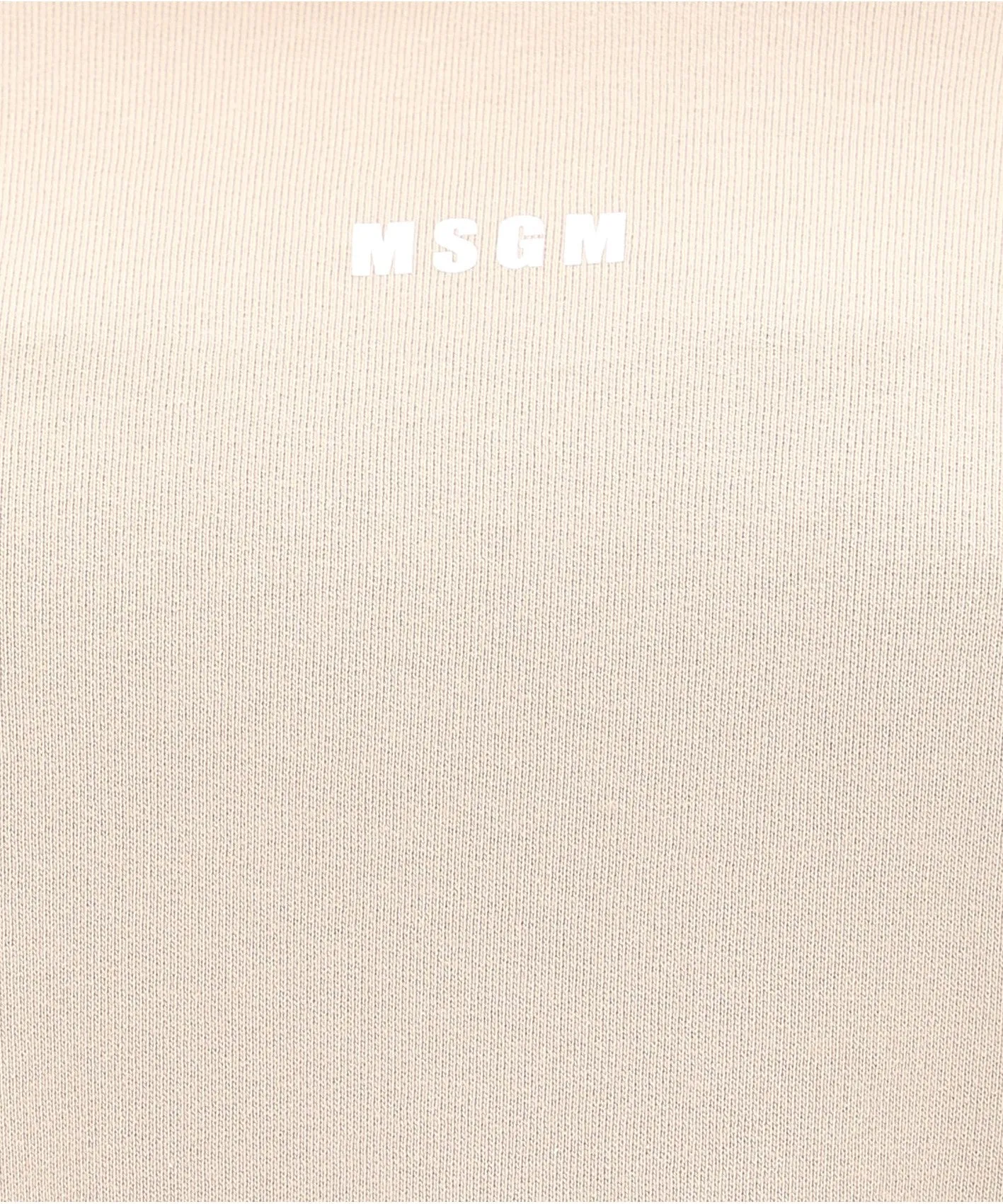 MSGM Logo Printed Hoodie