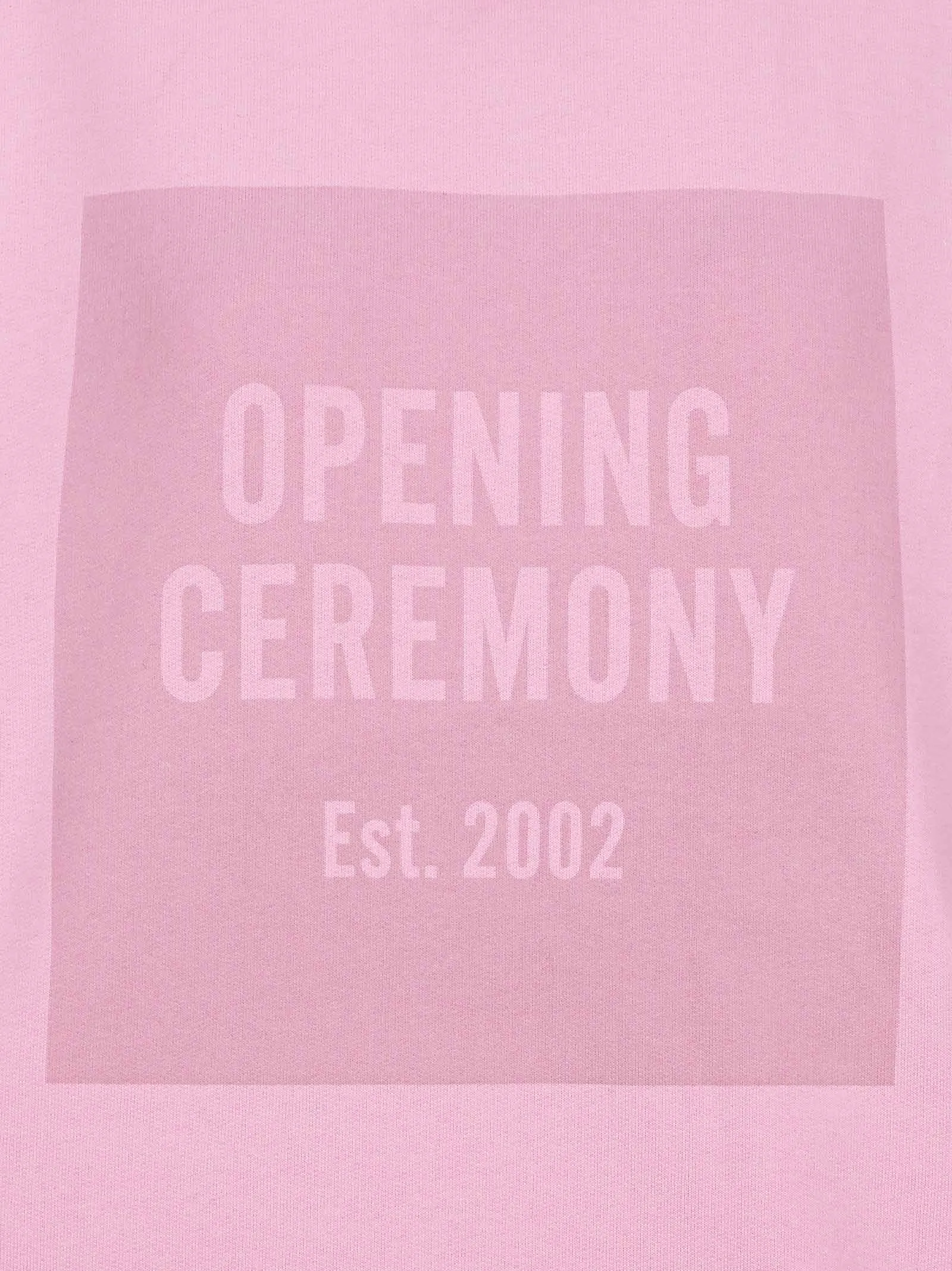 Opening Ceremony Box Logo Hoodie