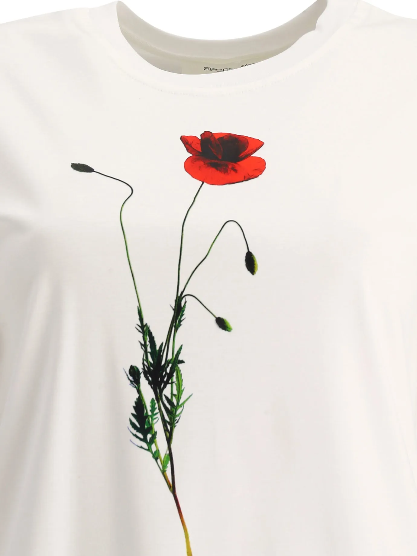 Sportmax Campo Printed T-Shirt